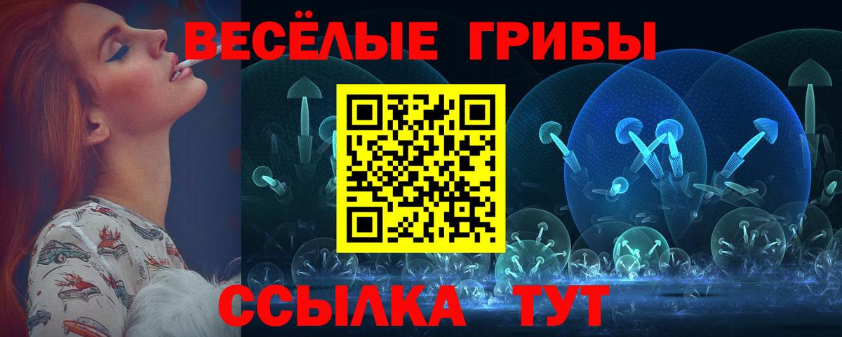 Жигулёвск  Галлюциногенные грибы мицелий  цена   Вход с VPN  Псилоцибиновые грибы Cubensis 