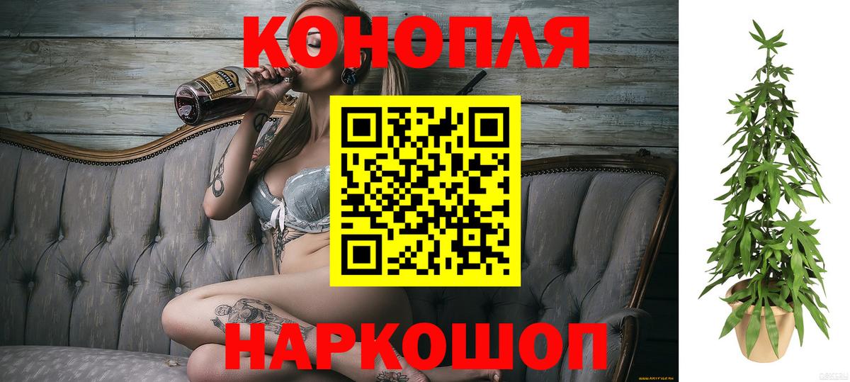 Каннабис сатива Жигулёвск